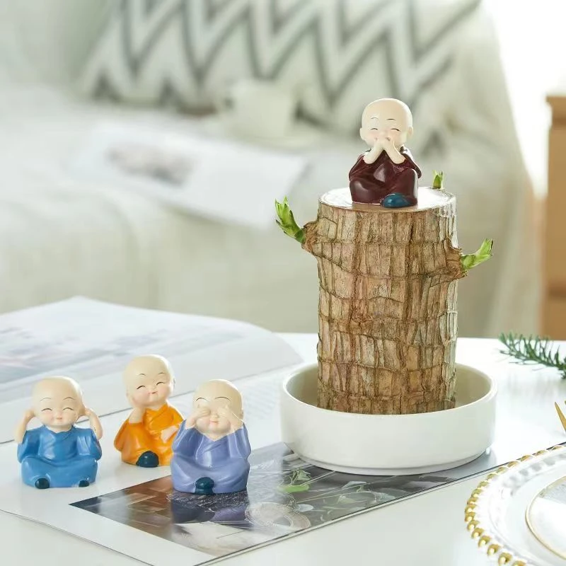 进口巴西木幸运木观叶水养绿植盆栽格鲁特小树人水培植物室内装饰