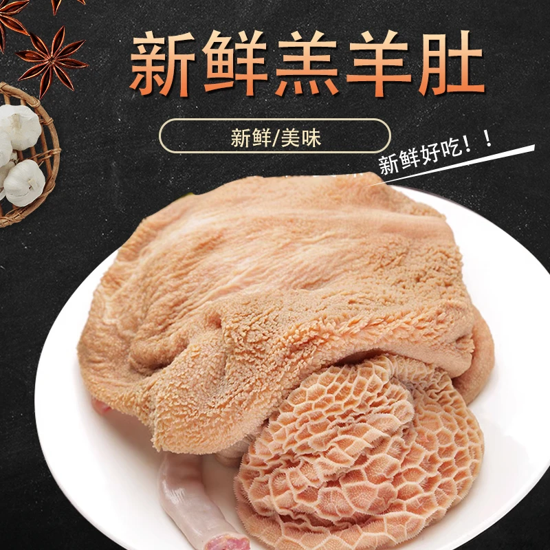 【鲜羊肚3斤包邮】鲜嫩营养丰富肉质鲜美清洗干净新鲜优质散养美味