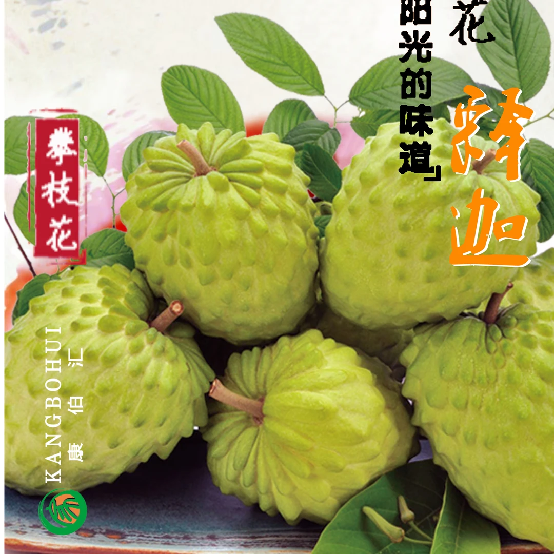 【比米农场】攀枝花释迦果净重4.6斤