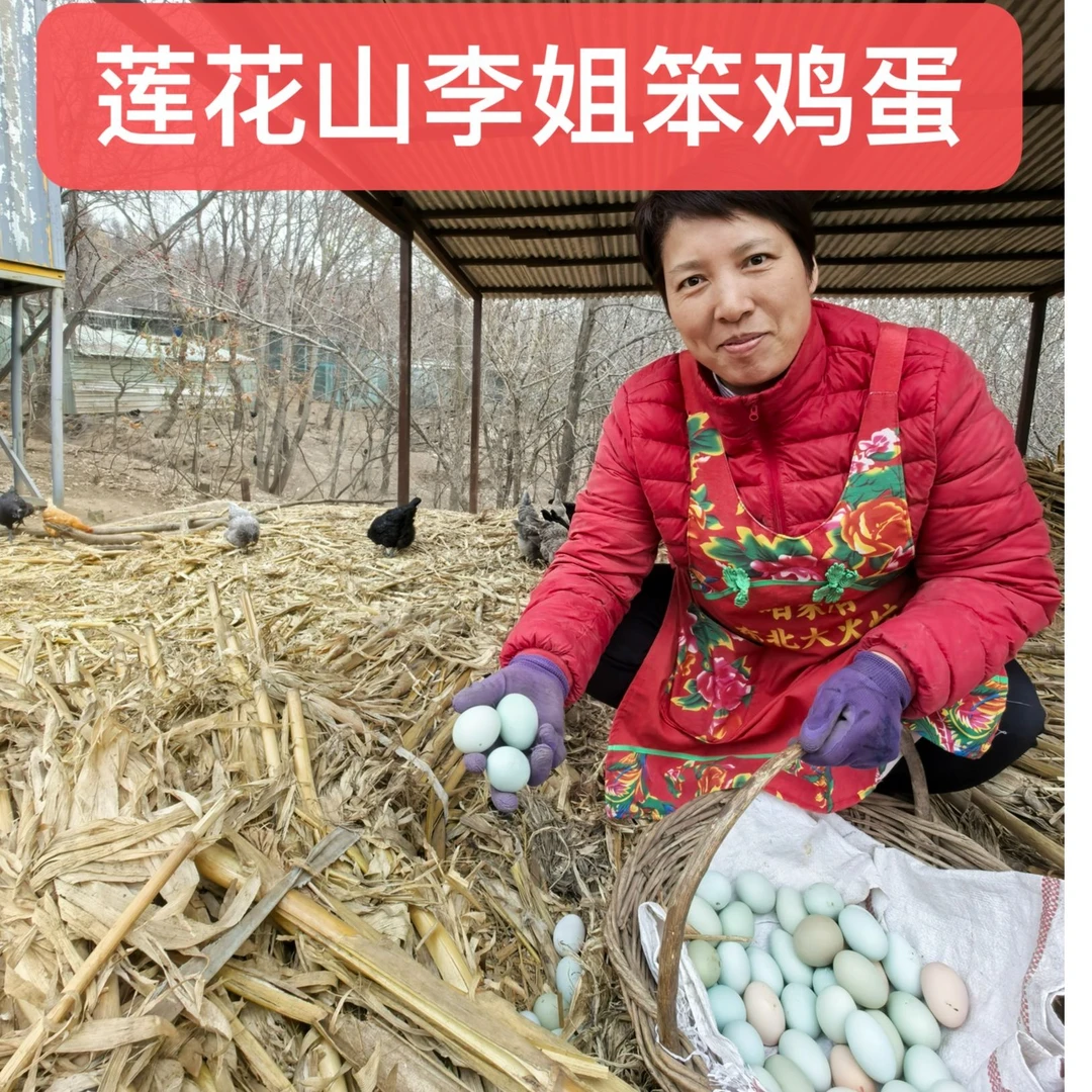 长春莲花山李姐乌谷黑鸡绿壳笨鸡蛋