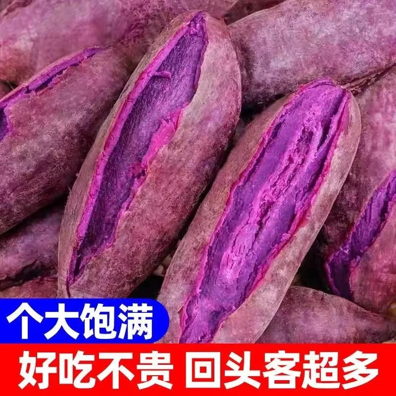 【软糯香甜】新鲜现挖紫罗兰紫薯农家种植紫色番薯地瓜5斤宝宝辅食