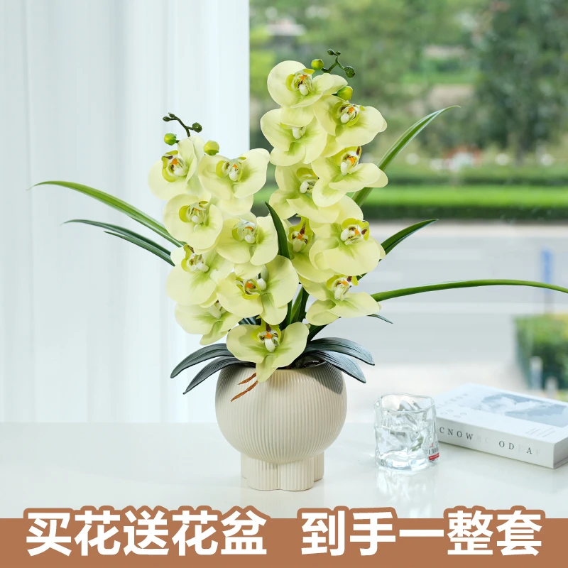 【送花盆】蝴蝶兰绿植仿真花假花摆设高客厅餐桌花家居插花装饰花艺