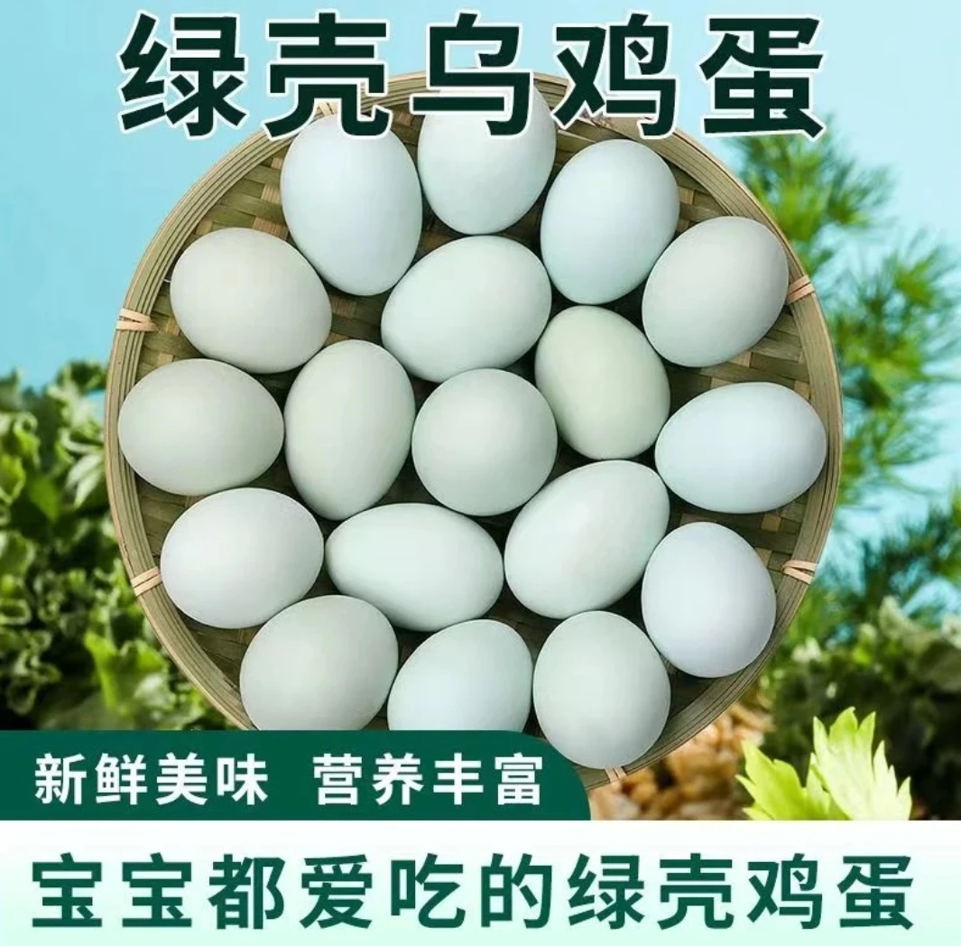正宗散养农家乌鸡蛋 绿壳土鸡蛋新鲜健康营养 月子蛋绿壳蛋