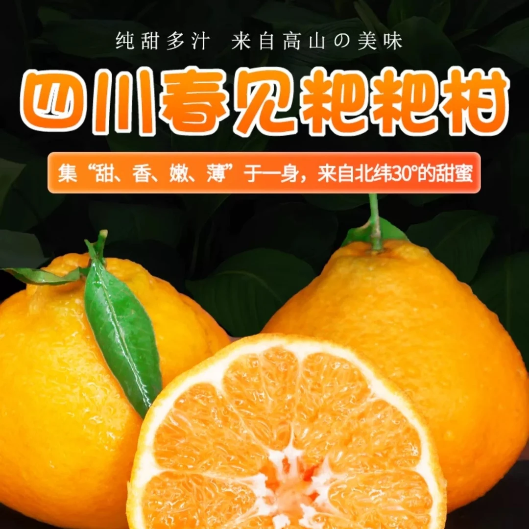 【果园直发】四川春见耙耙柑福利8粒装