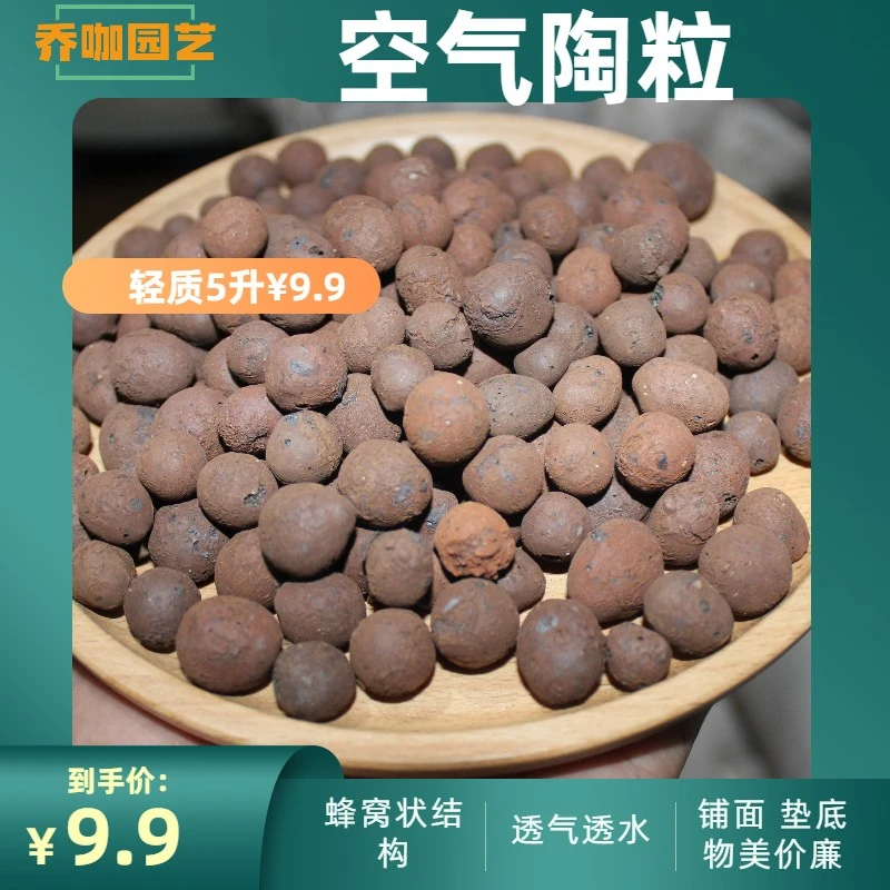 乔咖园艺 空气陶粒透水透气垫底铺面滤材多肉绿植