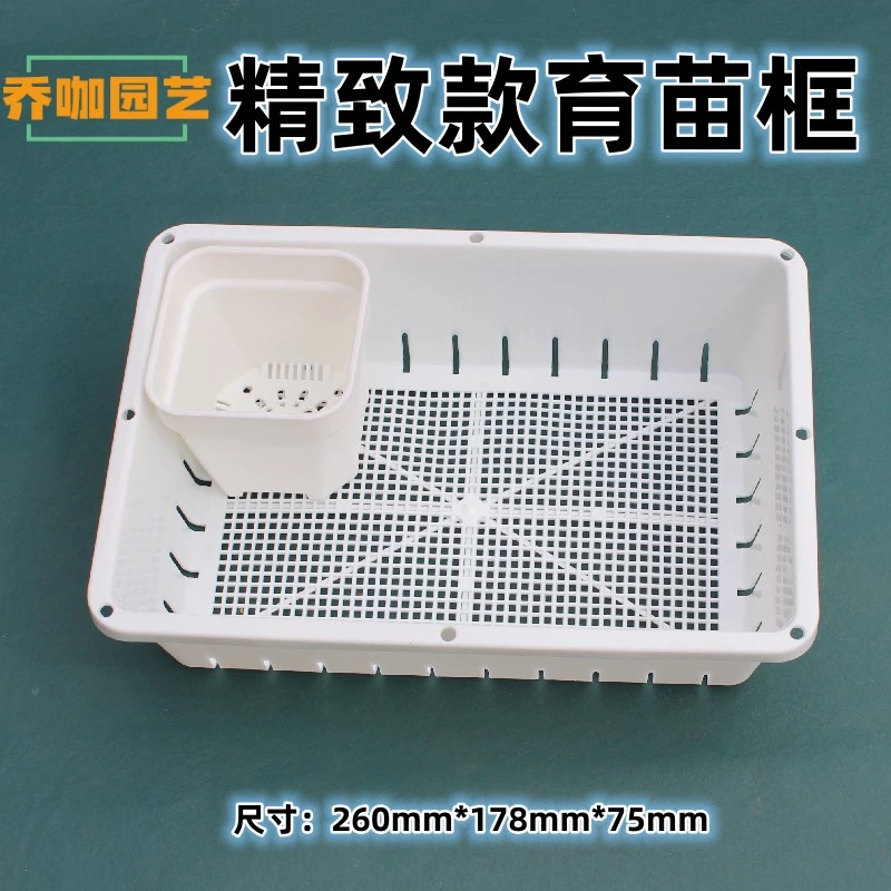 中小号多肉育苗盆育苗盘芽菜盆叶插盆小苗播种盆育苗框白色
