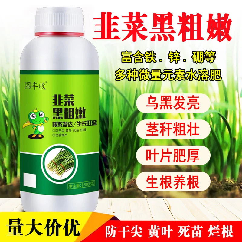 韭菜黑粗嫩韭菜肥料养根护根叶片抗干尖黄叶韭菜根韭菜叶面肥