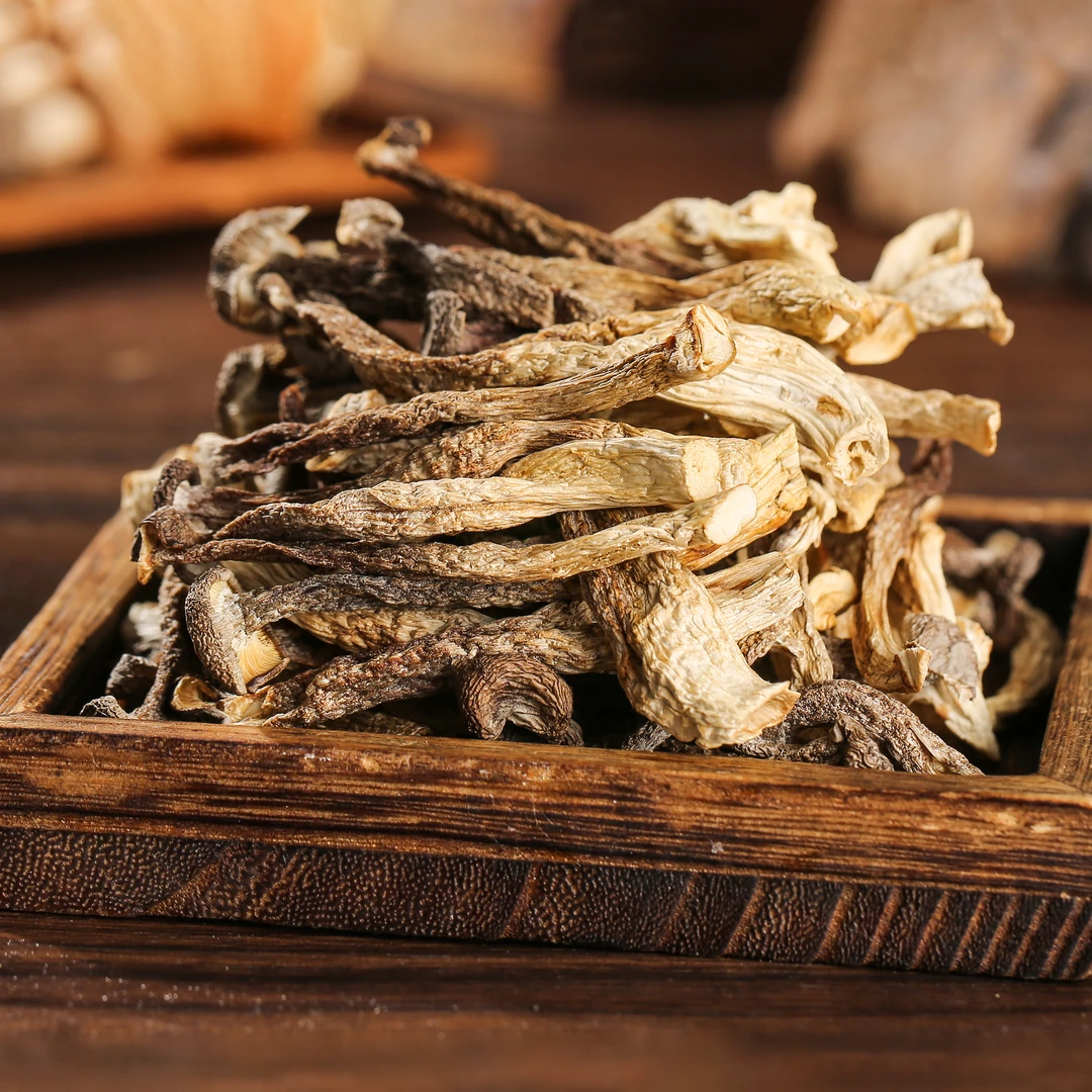 特价 精品鹿茸菇头茬新货