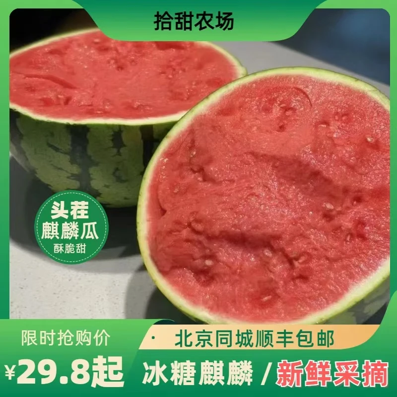 【拾甜农场】云南头茬麒麟无籽西瓜酥脆甜新鲜采摘 顺丰包邮到家