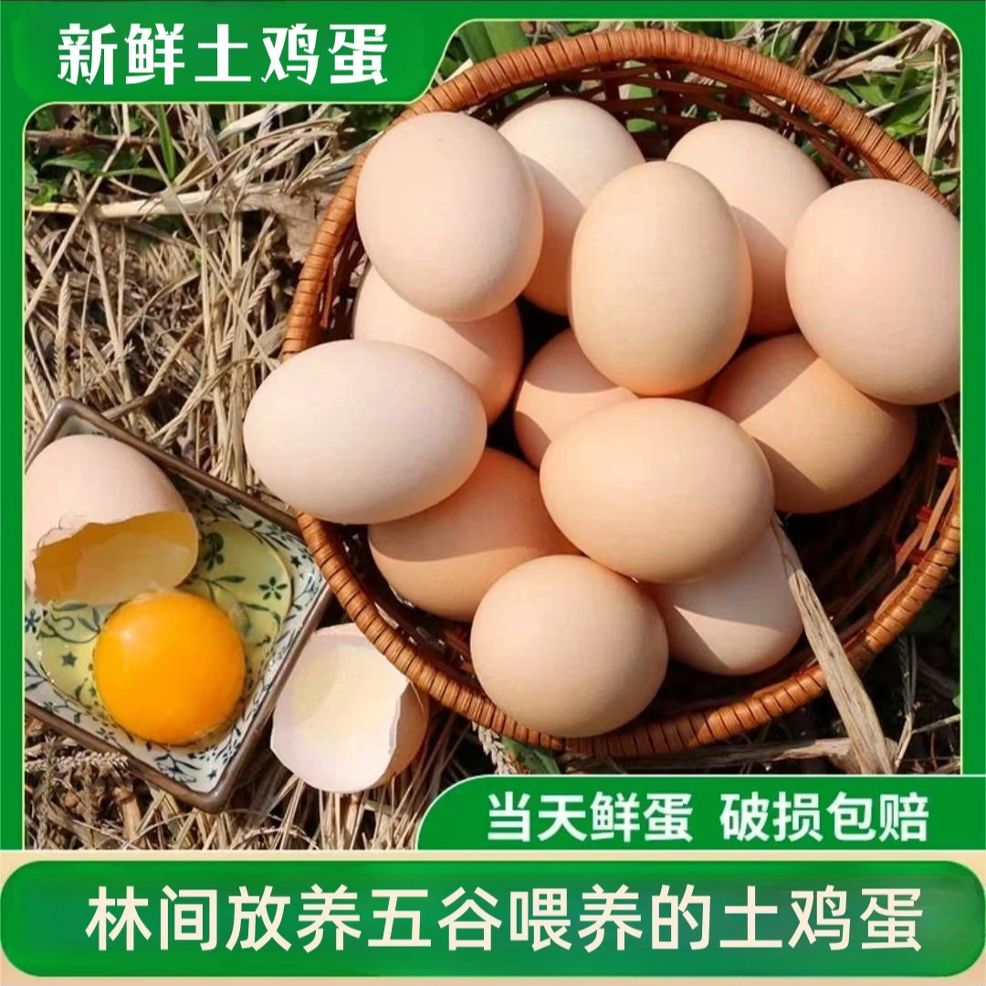 【静静家】新鲜现捡现发的土鸡蛋 草鸡蛋 50枚 净重4斤  破损包赔