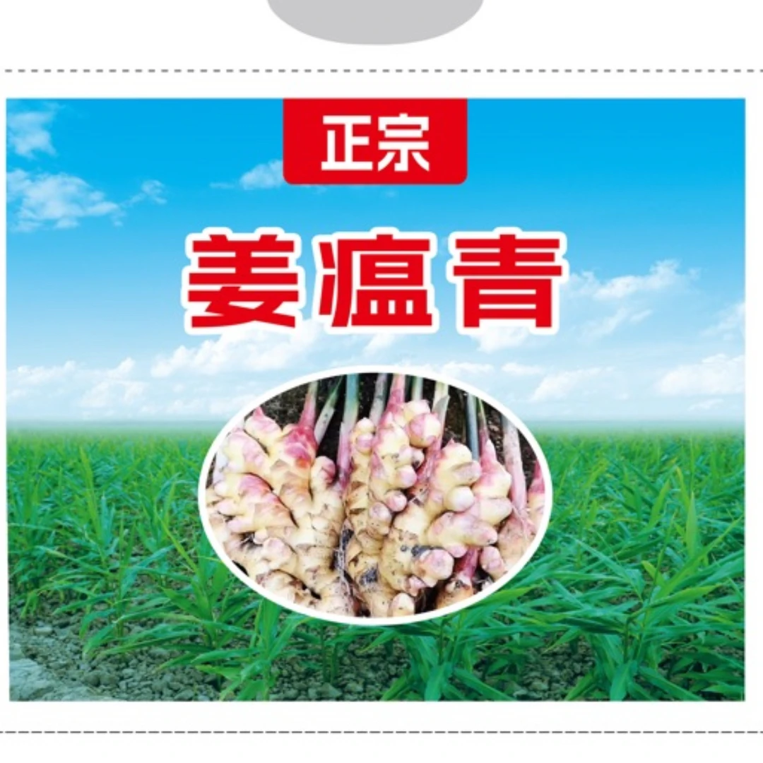 正宗姜瘟青 太溪邦配方
