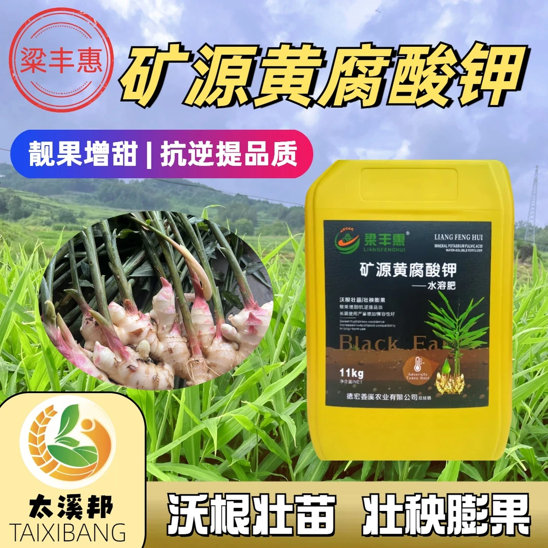 -梁丰惠矿源黄腐酸钾桶装水溶肥活性强