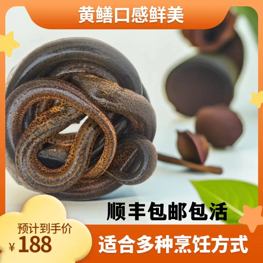 农村土鳝鱼黄鳝3斤