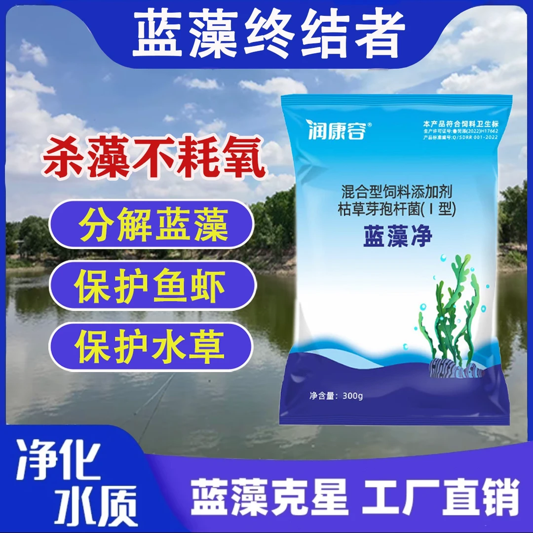 蓝藻净蓝藻分解酶生物分解精鱼塘蓝藻克星除藻速杀分解