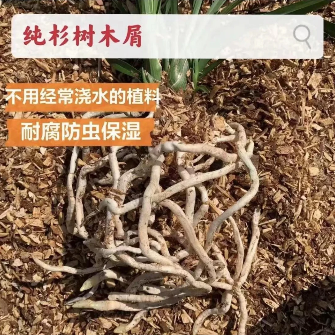 兰花专用土 纯杉木屑 兰科类 兰花通用型居家兰花植料