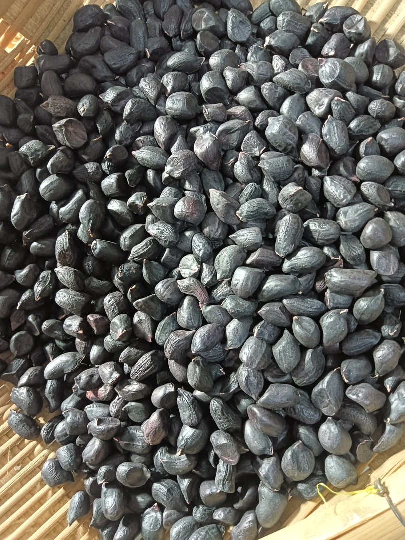 云南高山晒干黑花生米