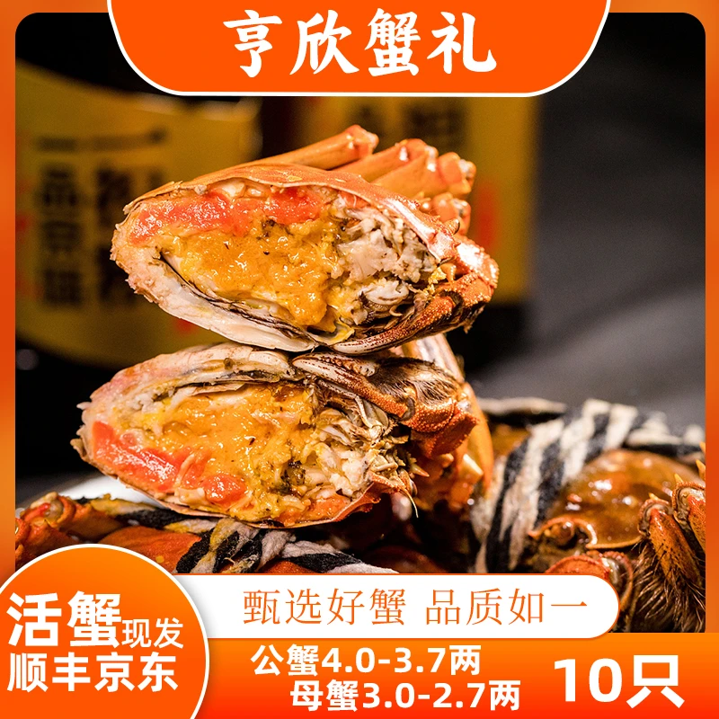 【活蟹现发】亨欣太湖标准养殖公4.0-3.7两母3.0-2.7两8只赠2只