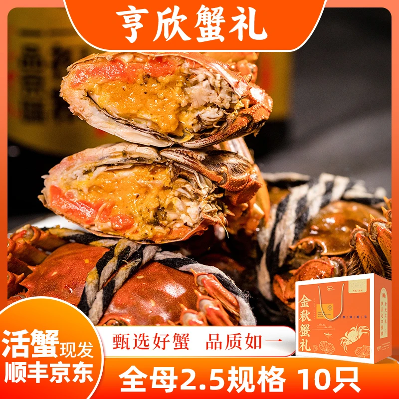 【活蟹现发】亨欣太湖标准养殖全母2.5两8只+2只礼盒装