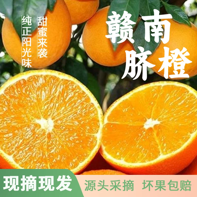 【直播间福利】赣南脐橙净果10斤（70mm-80mm大果）现摘现发带枝带叶