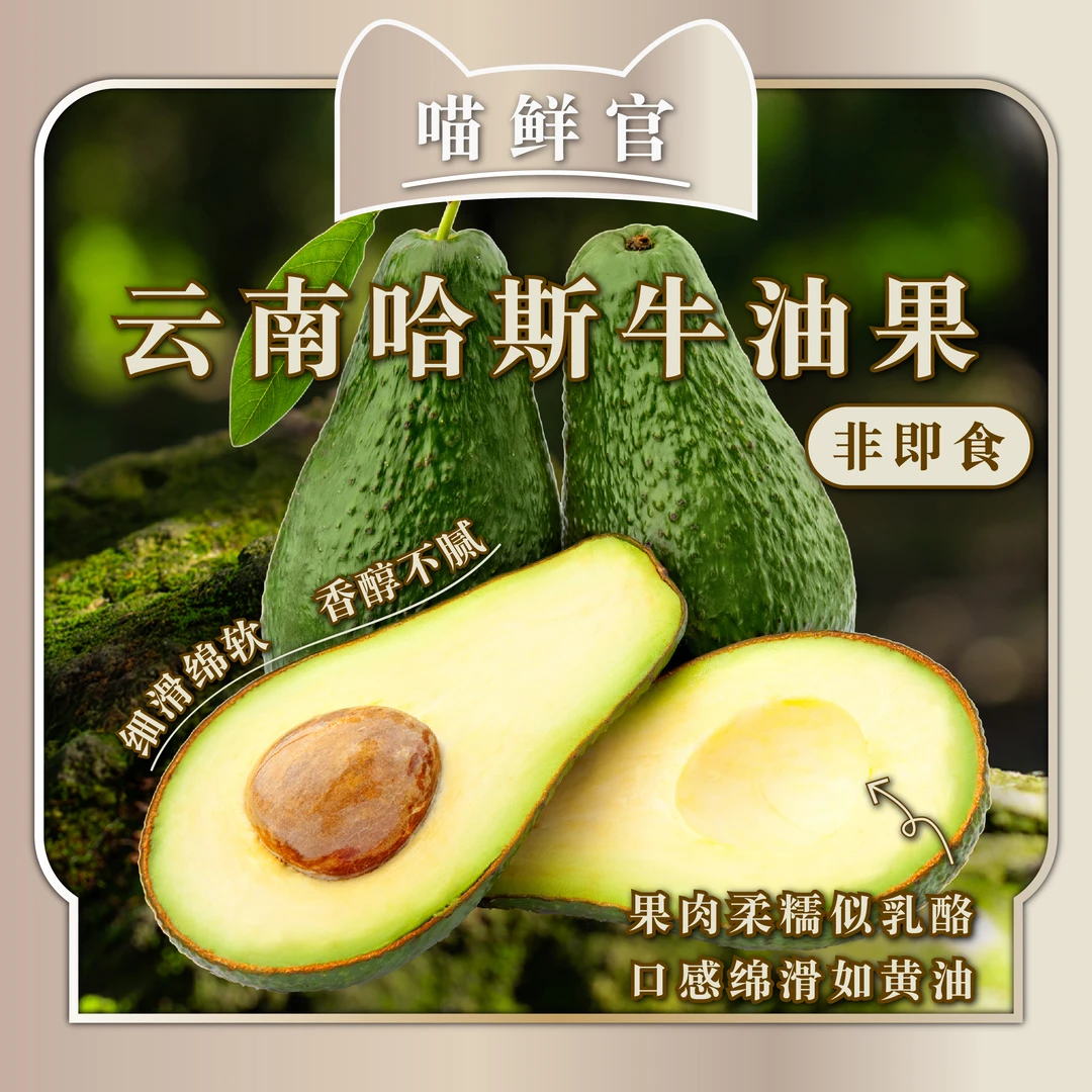 哈斯牛油果丨新鲜现摘牛油果8粒装丨坏果包赔丨需催熟3-7天非即食