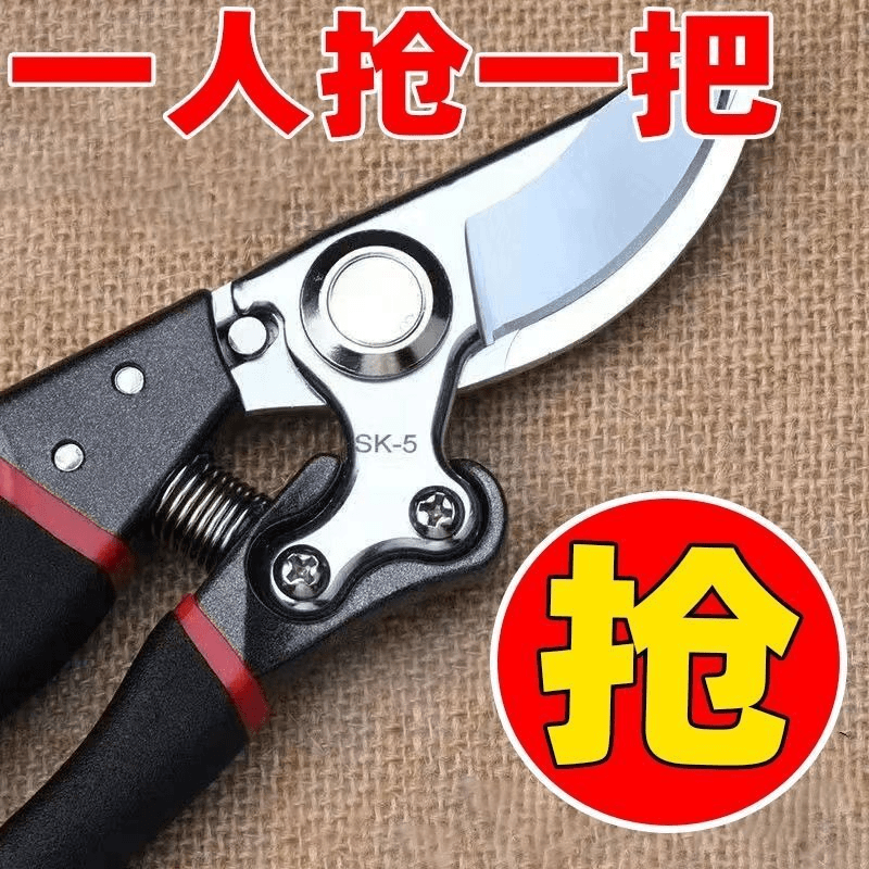 舟婳 果树剪修枝剪刀钢剪树剪子家用花木葡萄修剪镐斧镐斧镐斧SK5钢