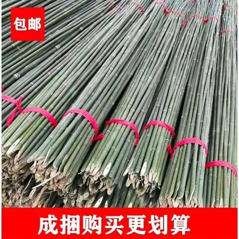 小竹竿蔬菜爬藤竹杆架种菜园搭架豆角架篱笆栅栏彩旗杆细竹子