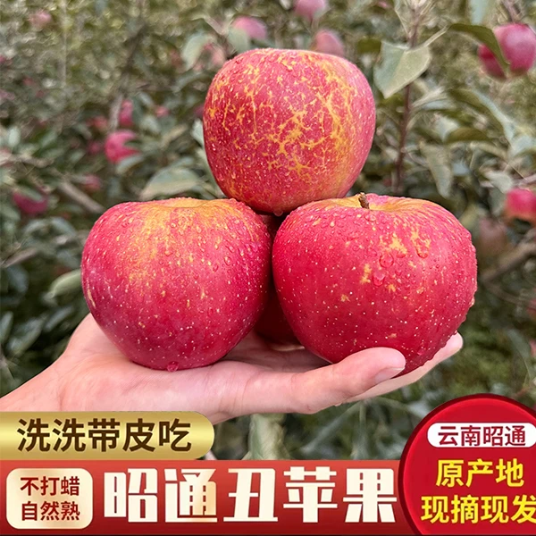 云南昭通丑红富士苹果脆甜糖心新鲜当季水果果园现摘产地4.5/9斤