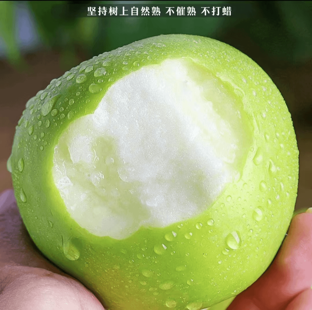 云南昭通早熟青苹果青香蕉原产地新鲜采摘果园直发孕妇宝宝专用