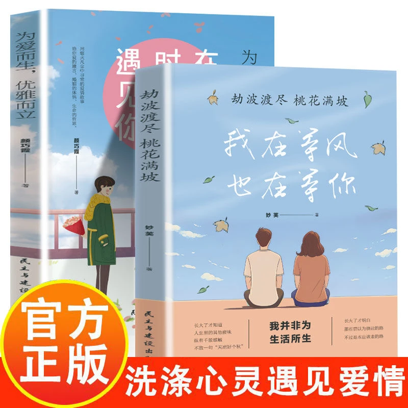 我在等风也在等你正版在最好的时光遇见你 洗涤心灵言情告白小说
