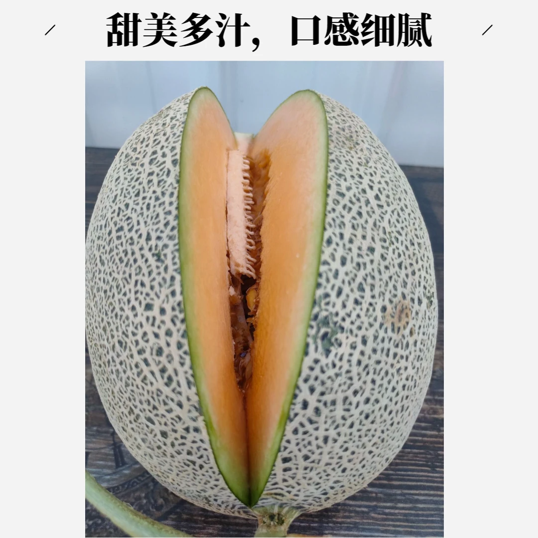 新疆直发【顺丰包邮】西州蜜17号哈密瓜新鲜优质