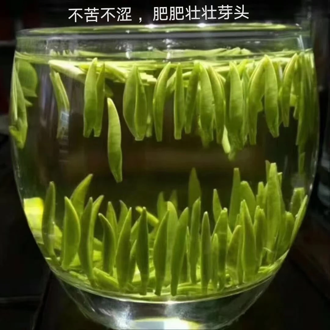 2024梵净山明前翠峰   高山云雾茶