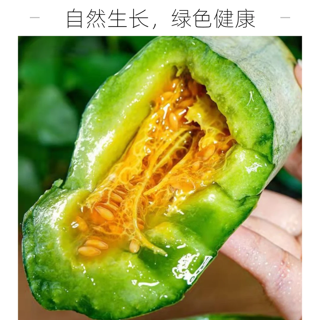 羊角蜜甜瓜头茬山东甜瓜4.5斤新鲜水果现摘现发香甜甜瓜2.5斤直发