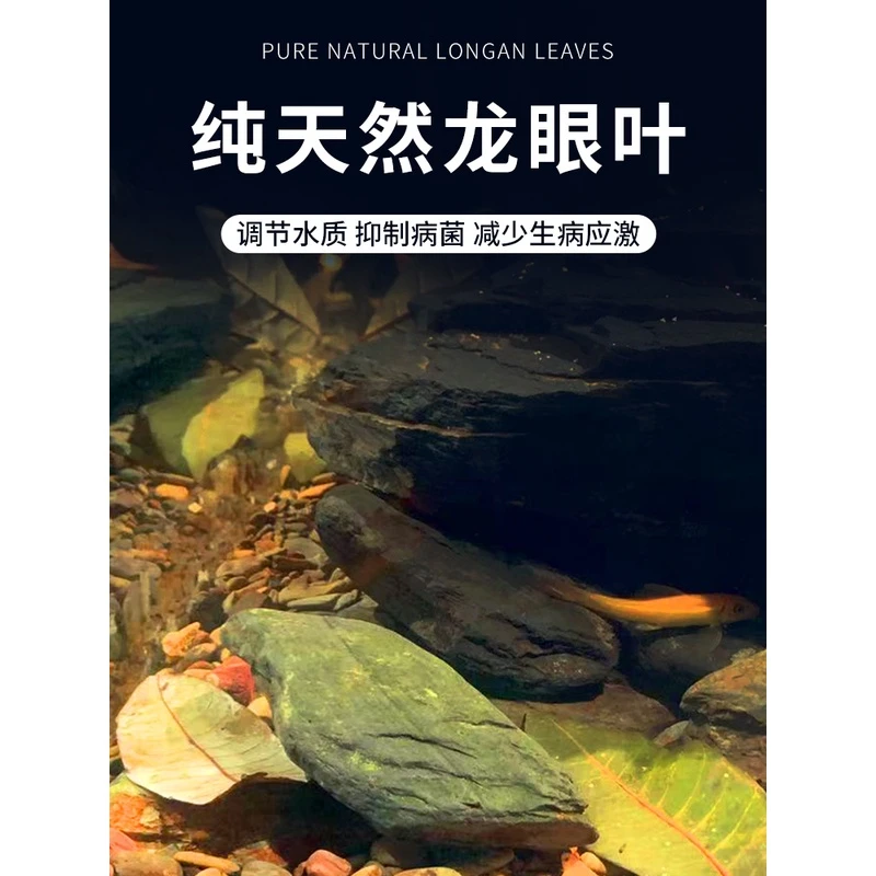 乌龟专用龙眼叶鱼缸造景叶子免煮天然风干养龟躲避专用调节水质