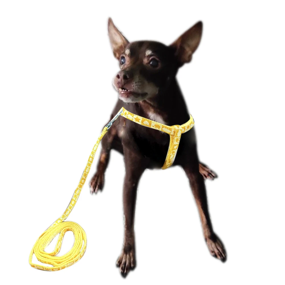 宠物胸背带猫咪狗狗绣花可爱卡通胸背带牵引带套装泰迪小型犬