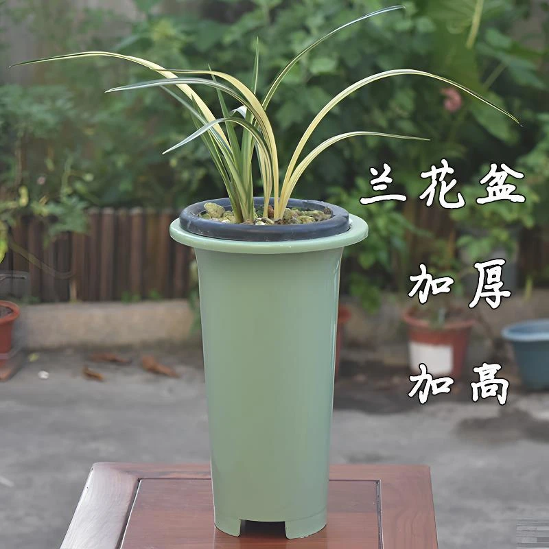 侬花村兰花专用盆室内兰花花盆高档兰花种植盆塑料加大树脂加厚
