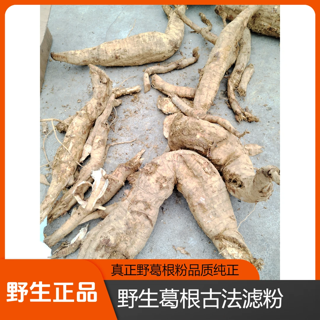 高山纯正野生银鲜葛根