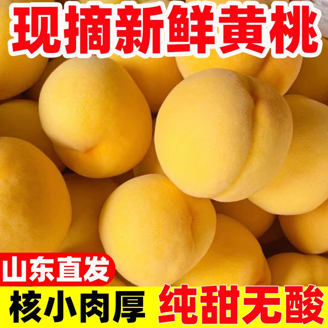 现摘当季锦绣黄桃纯甜水果桃子孕妇水果3/5斤