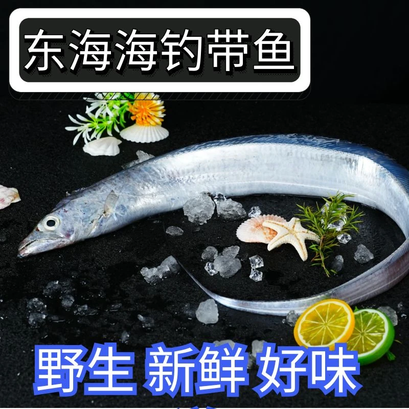 【现称】带鱼 新鲜带鱼顺丰发货