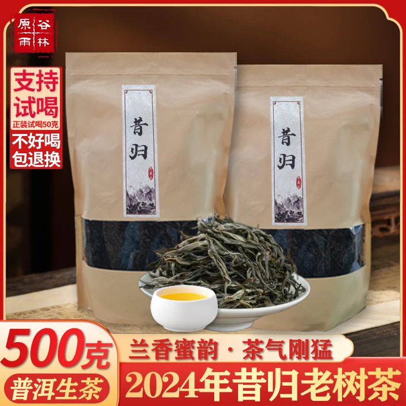 【春茶上新】2024年昔归纯正手工饱满普洱散茶传承高山好茶茶汤金黄