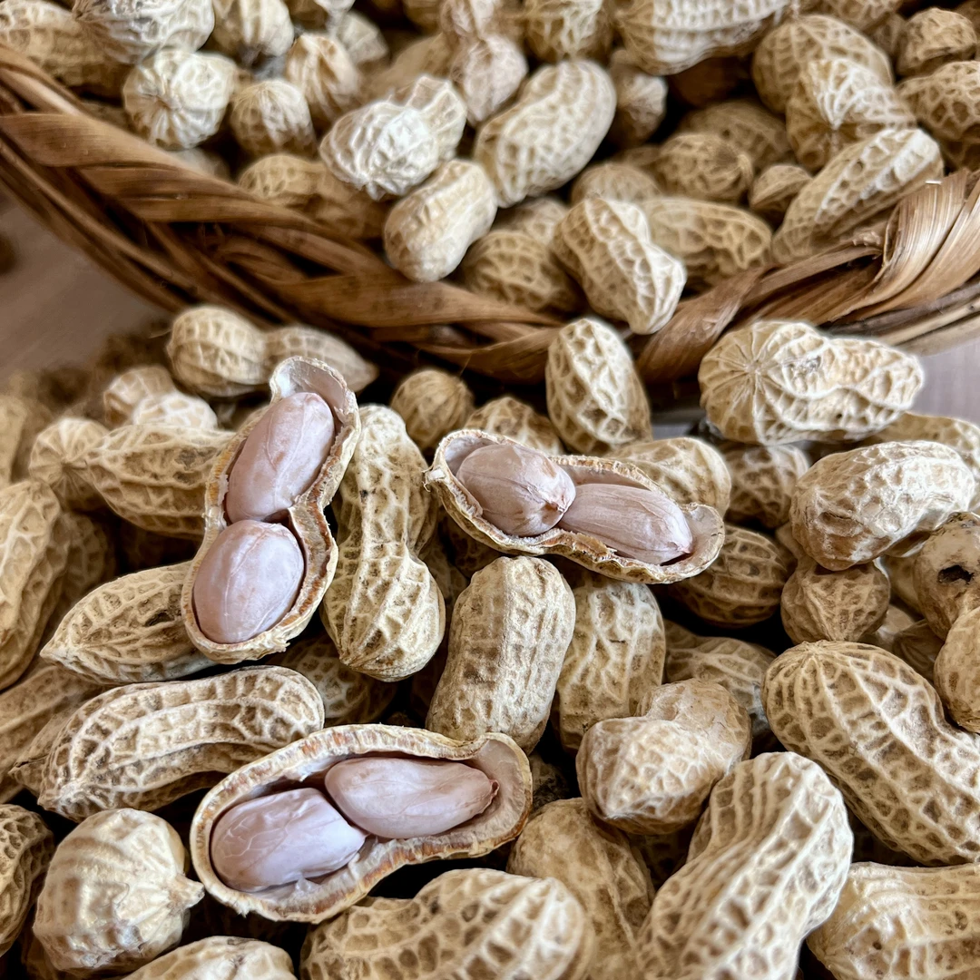 粤北连州特产农家自晒水煮花生儿时味道童年回忆正宗水煮咸干花生