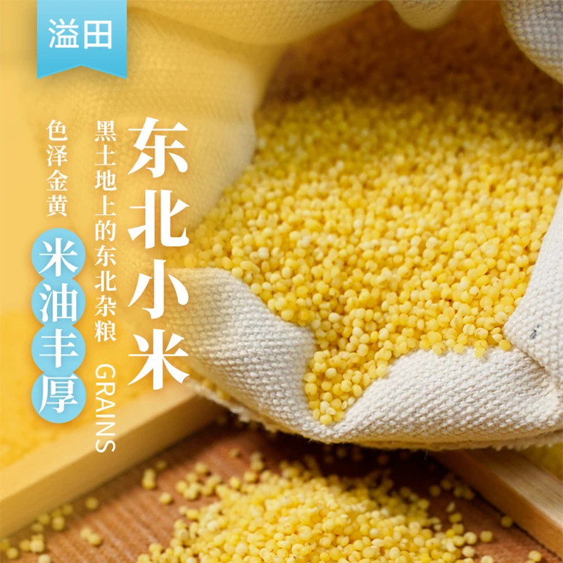 【拍一发四】溢田东北黄小米杂粮 500g/袋