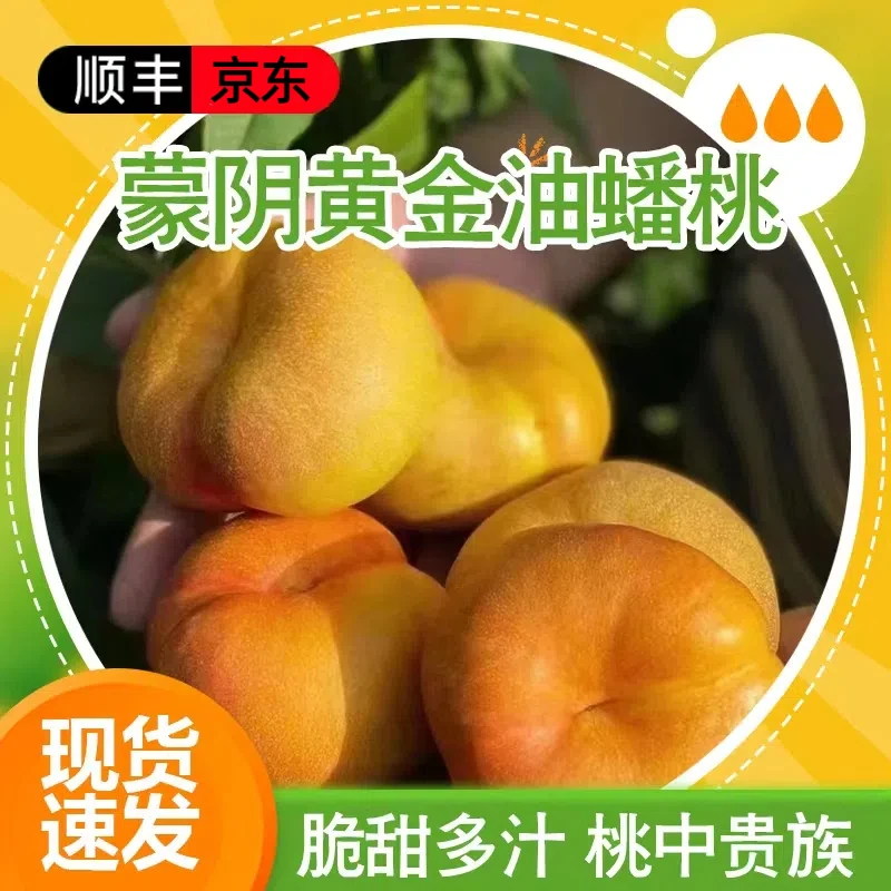 山东蒙阴紫霞油蟠桃纽扣彩虹4.5斤芒果蟠桃果园新鲜采摘夏日尝鲜