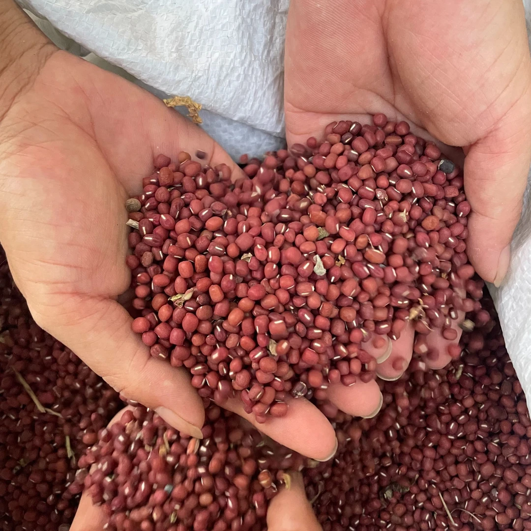 秦巴山区红豆500g