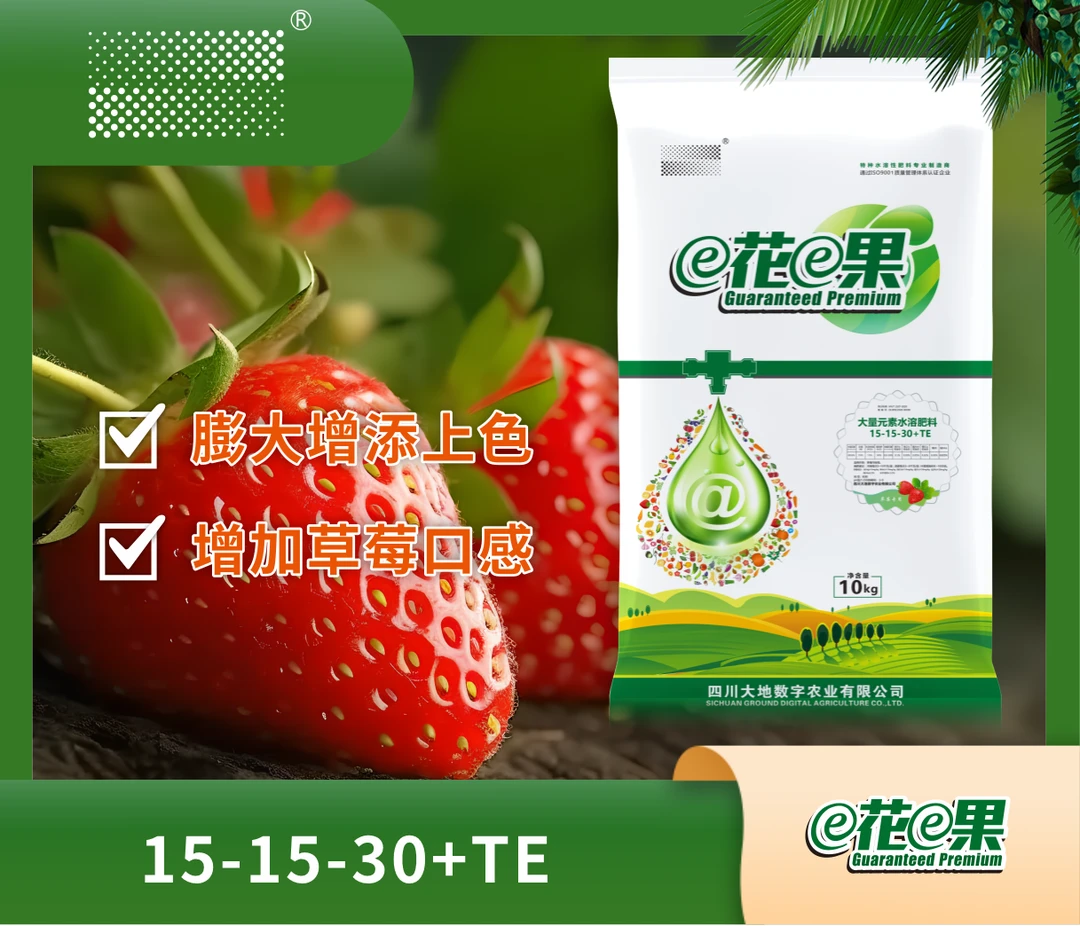 e花e果草莓专用水溶肥料（15-15-30+TE）膨果肥