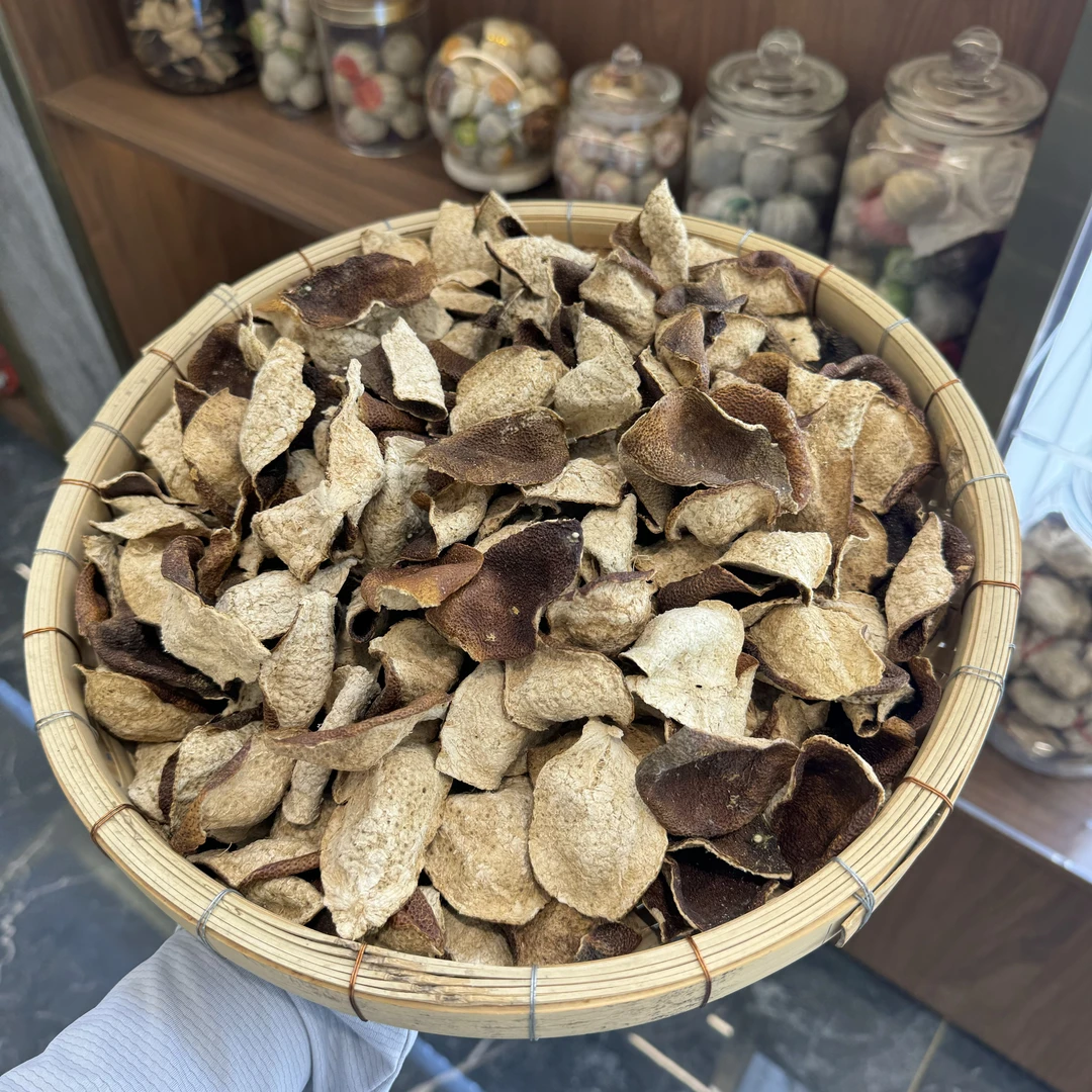 2019年东甲大红皮角