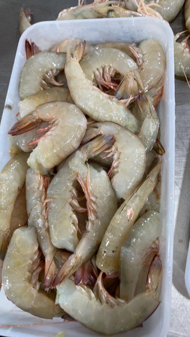 野生麻虾去头净重