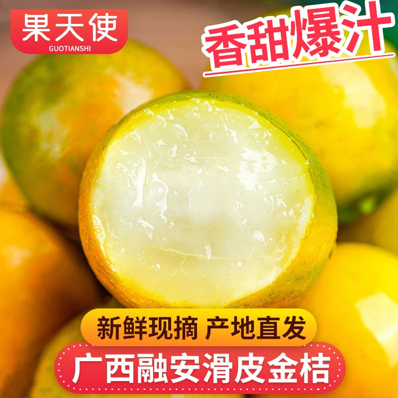 【果天使】广西融安滑皮金桔1-5斤新鲜水果产地直发