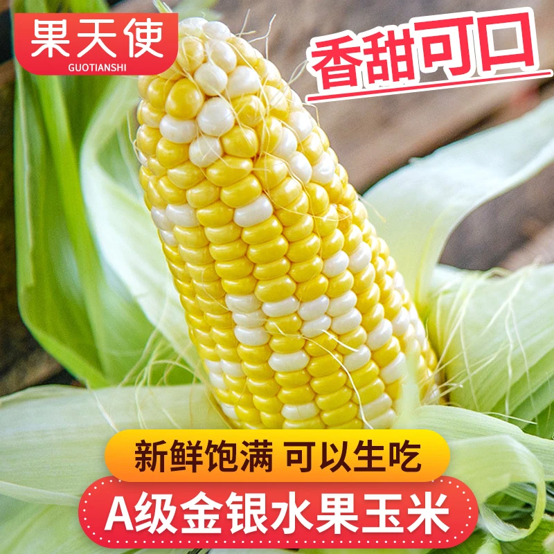 【果天使】云南A级金银水果玉米3-8斤新鲜饱满可以生吃