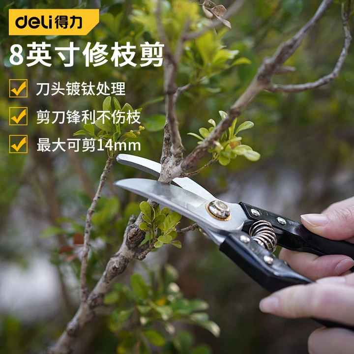 得力修枝剪园林园艺花艺手持修花剪刀果树剪树枝专用剪刀D71