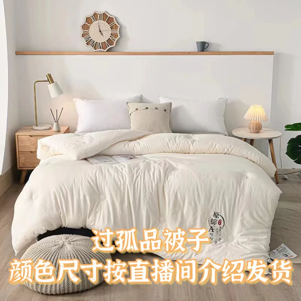 2米尺寸[过款按主播介绍下单]被子春秋被冬被加厚双人被芯